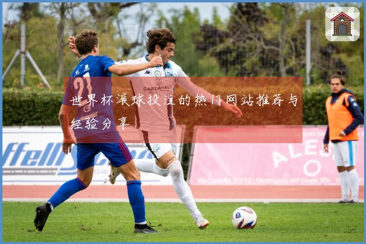 世界杯滚球投注的热门网站推荐与经验分享