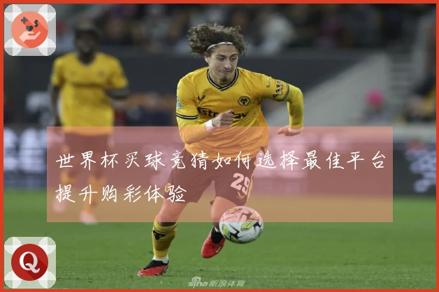 世界杯买球竞猜如何选择最佳平台提升购彩体验