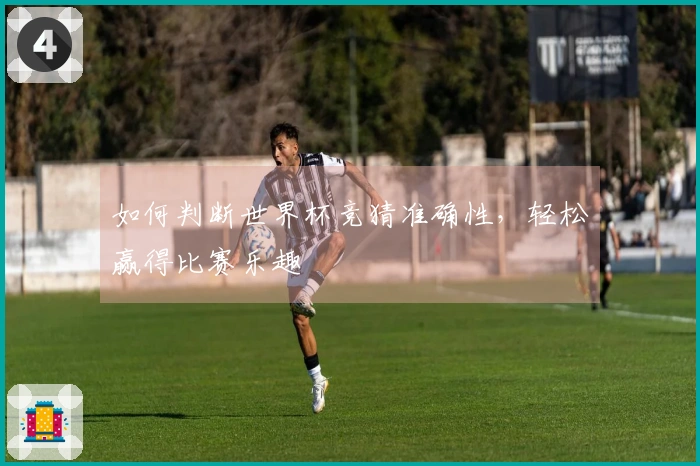 如何判断世界杯竞猜准确性，轻松赢得比赛乐趣