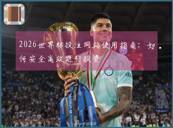 2026世界杯投注网站使用指南：如何安全高效进行投资