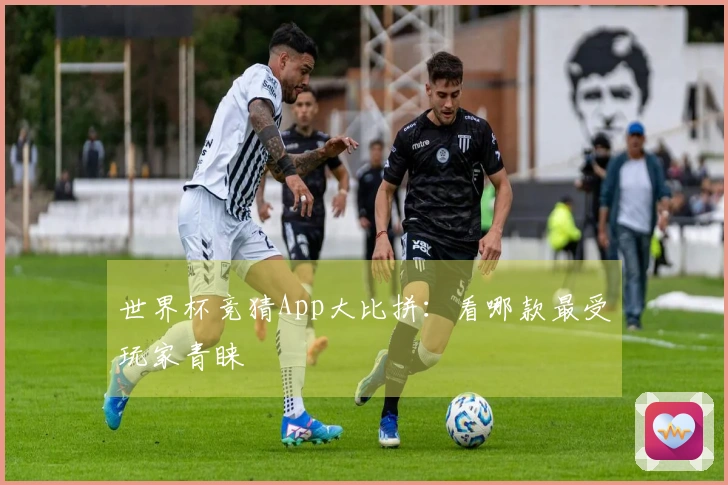 世界杯竞猜App大比拼：看哪款最受玩家青睐