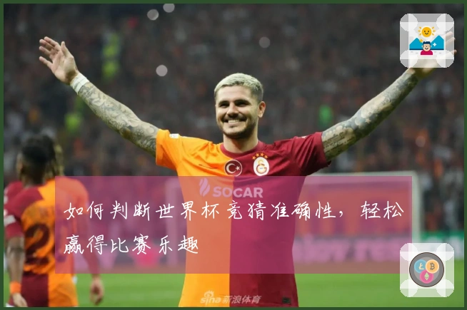 如何判断世界杯竞猜准确性，轻松赢得比赛乐趣